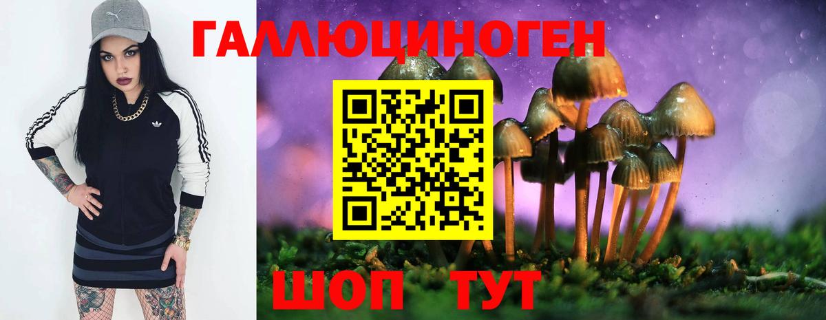 Галлюциногенные грибы GOLDEN TEACHER Людиново